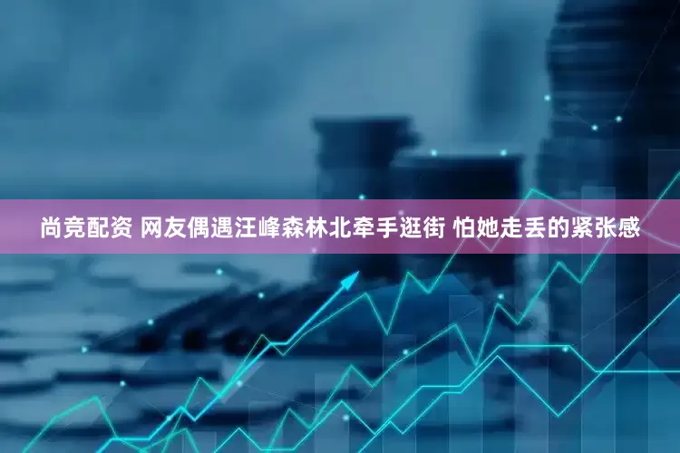 尚竞配资 网友偶遇汪峰森林北牵手逛街 怕她走丢的紧张感