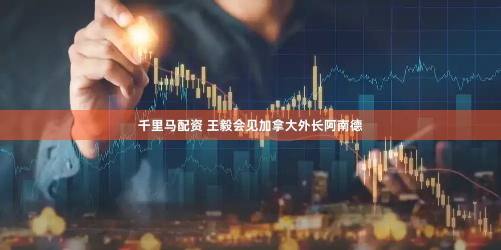 千里马配资 王毅会见加拿大外长阿南德
