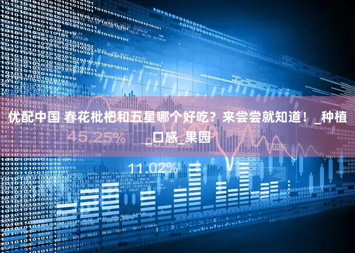 优配中国 春花枇杷和五星哪个好吃？来尝尝就知道！_种植_口感_果园