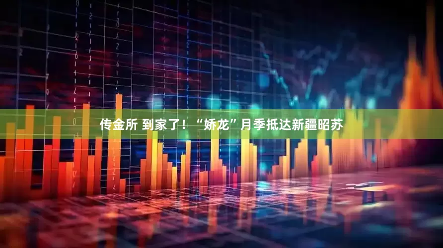 传金所 到家了！“娇龙”月季抵达新疆昭苏