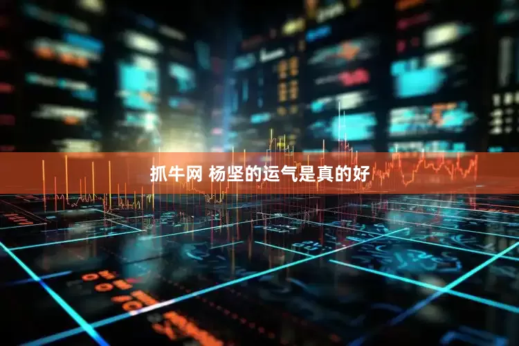 抓牛网 杨坚的运气是真的好