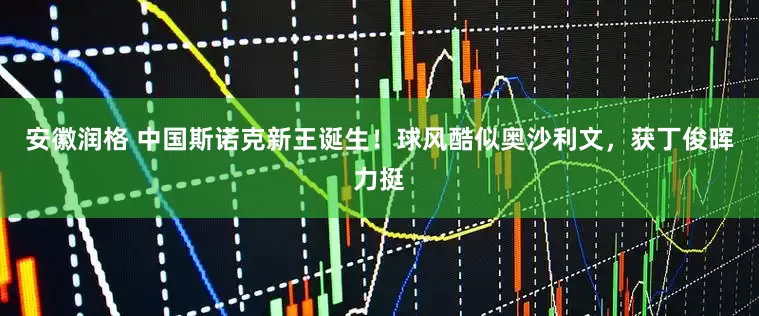 安徽润格 中国斯诺克新王诞生！球风酷似奥沙利文，获丁俊晖力挺